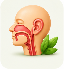 Ent Wellness